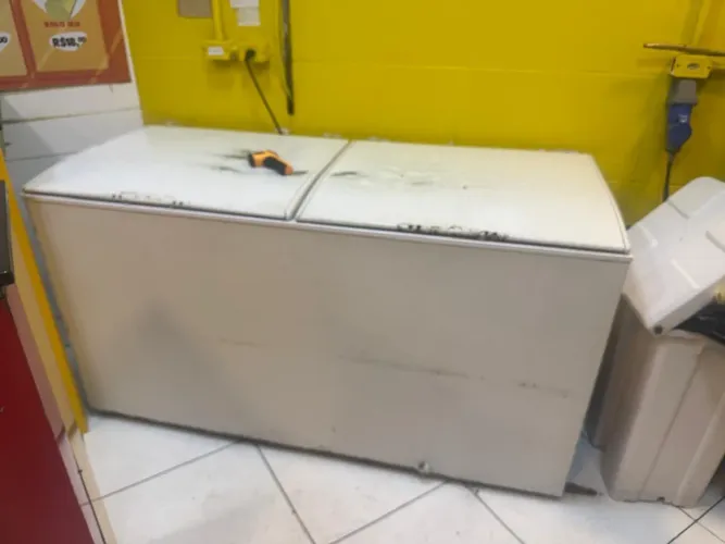 Freezer horizontal