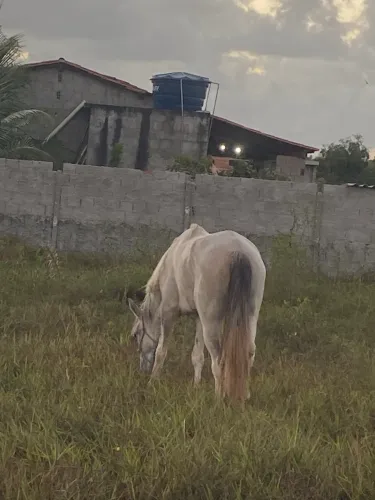 ÉGUA