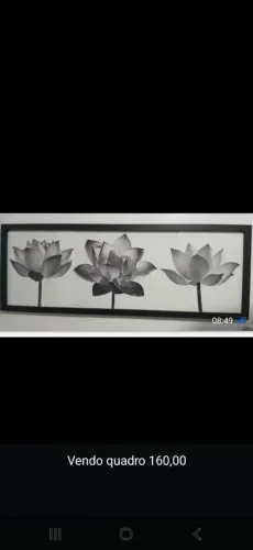 Vendo quadro