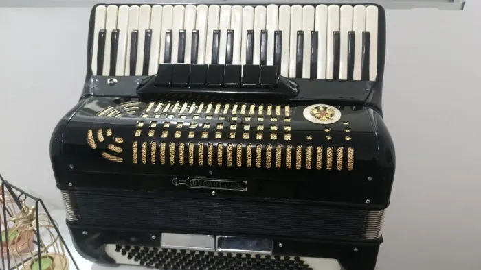 Acordeon 120 baixos 