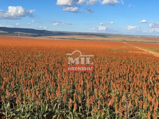 Fazenda agricola próximo a Cristalina GO