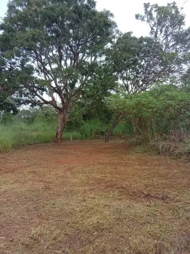 Chácara no Núcleo Rural Vale Verde com 3 hectares, apenas 200 metros do asfalto