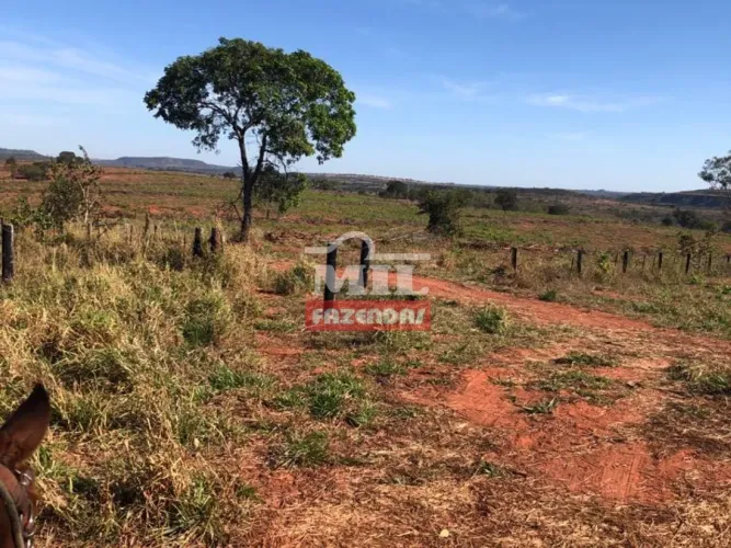 Fazenda 216 alqueires ( 1.047 hectares ) - Guiratinga-MT