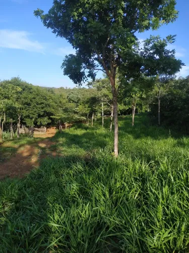 SÍTIO 30 HECTARES