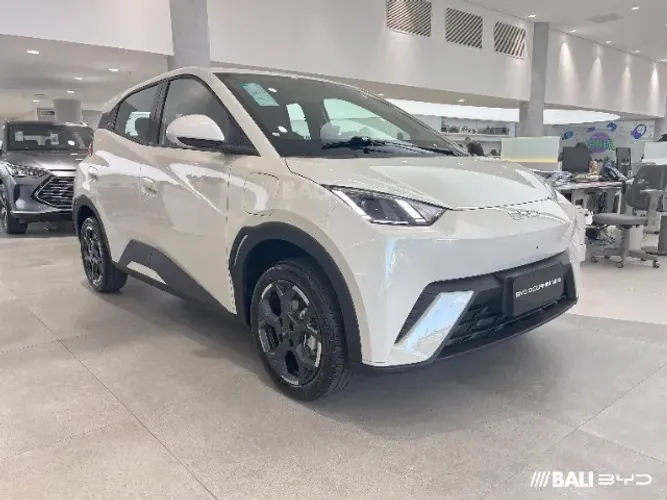 BYD Dolphin Mini (Elétrico) 2027