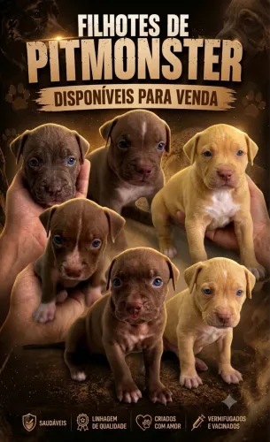 Pitmonster