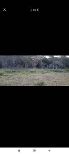 Terreno ótimo pra plantar e cria