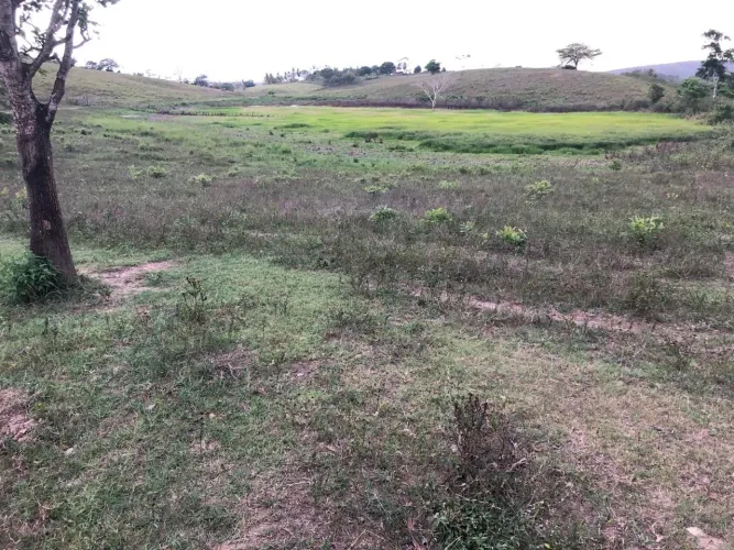 Vendo Fazenda em Guarabira PB