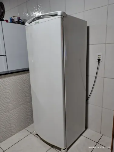 Geladeira Consul Facilite Frost (342LT)