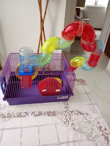 Vendo gaiola para roedores 