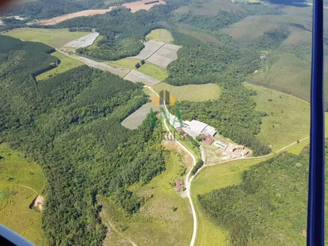 Fazenda em Pinus em São Miguel Arcanjo 545,59 hectares