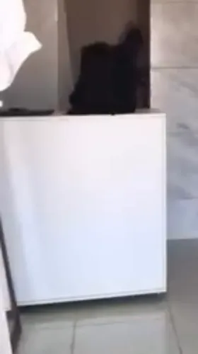 Balcao