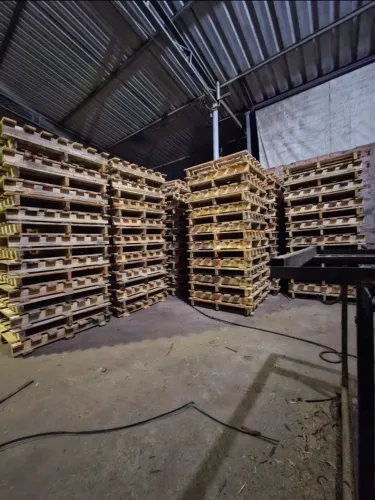 Pallets de madeira