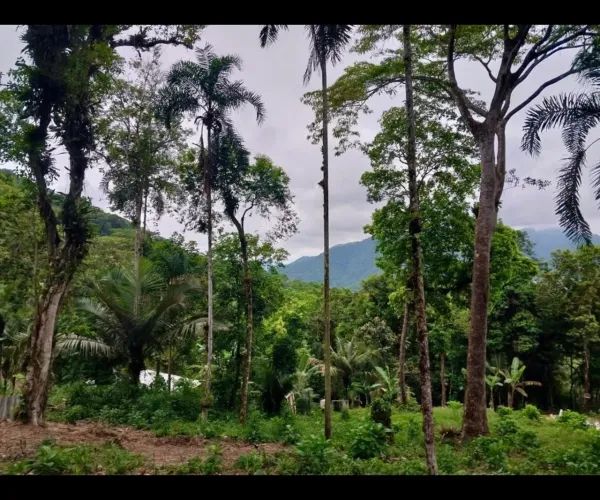 Terreno 450m² em Ubatuba