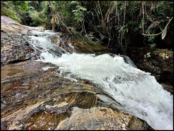 FAZENDA SERRA DA BOCAINA - ALTITUDE, ÁGUA - SILVEIRAS - SP