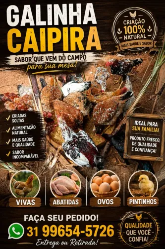 Galinha caipira