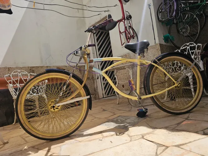 Bicicleta antiga 