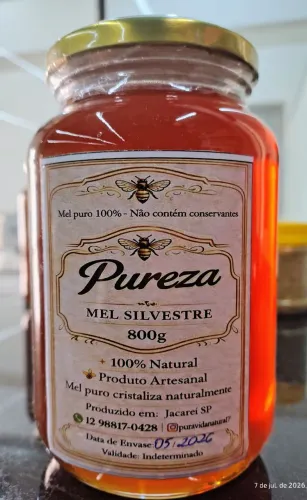 Mel Crú Puro Florada Silvestre Multifloral