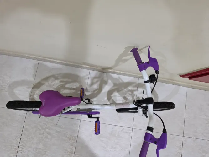 Bicicleta caloy aro 20