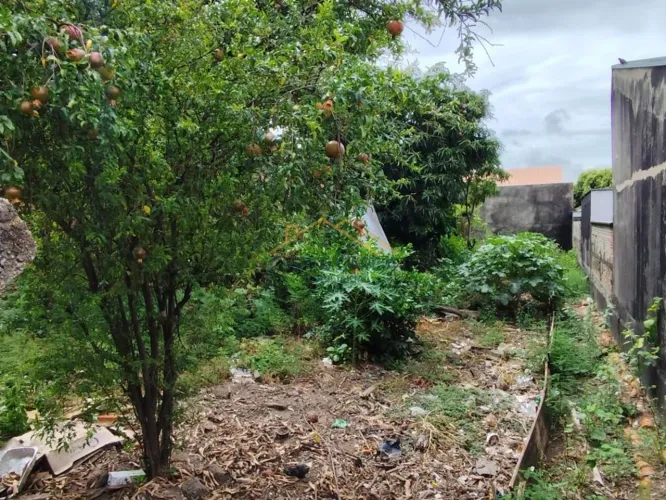 Terreno à venda em Americana, Parque das Nações