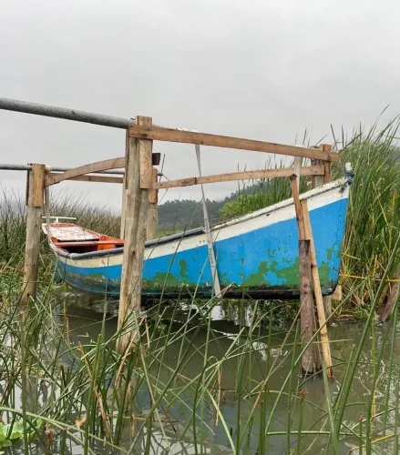 Barco