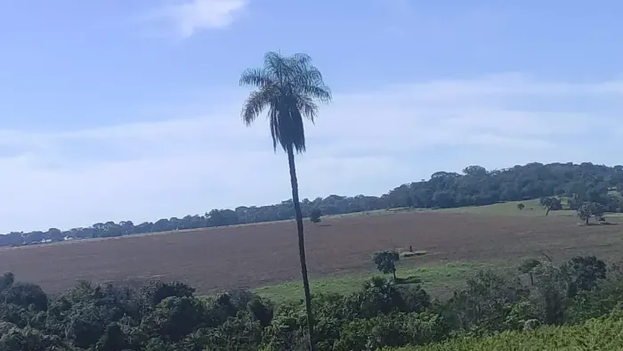 Fazenda a venda em lavoura - Itaberaí - GO