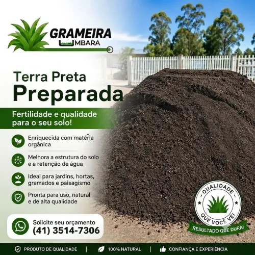 Terra preta