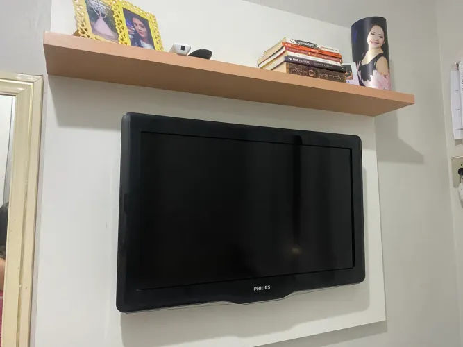 Vendo TV e Painel