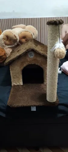 Casa com arranhador para gatos