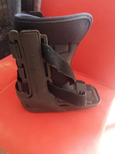 Bota