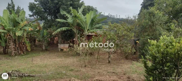 Terreno à venda, 1000 m² por R$ 210.000,00 - Chacara Santa Branca - Santa Branca/SP