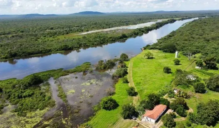 Fazenda à venda, Município de Barra, 11800ha, Agronegócio/Pecuária - BA
