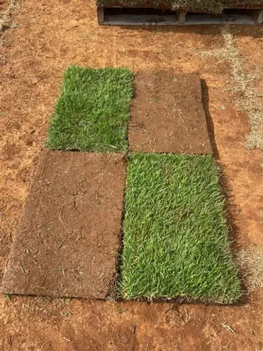 Grama Esmeralda Natural em Placas