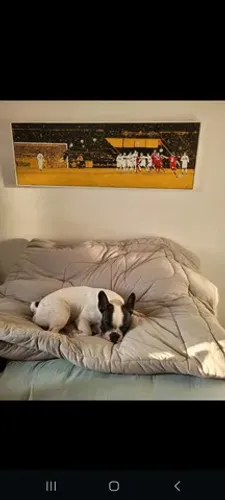 Quadro SPFC