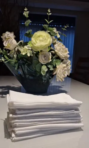 12 guardanapos NOVOS em tecido Oxford 40x40cm