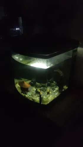 Aquário 140 litros vidro inteiro - aceito cartão e trocas