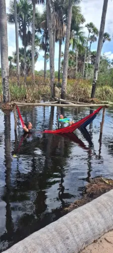 Vendo propriedade em Santo Amaro com 2 hectares com 1.180 pés de caju toda avarandada