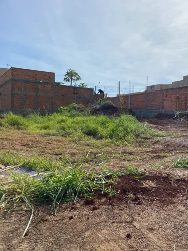 Terreno araucária Cristo