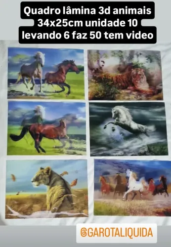 Quadro lâmina 3d animais