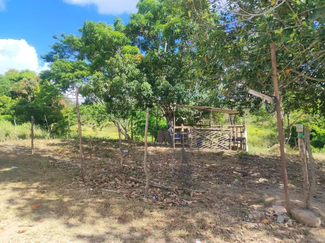 Terreno nas Palmeiras, Carmópolis-SE