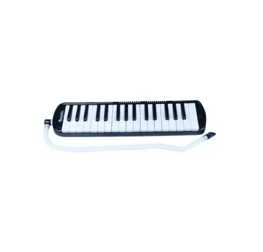 Escaleta 32 Teclas com Case Preto Dolphin