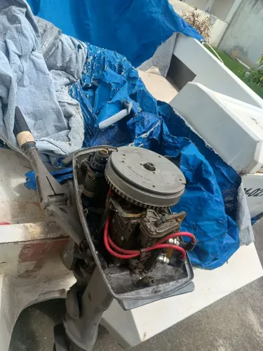 Motor de popa Johnson 6,6 hp