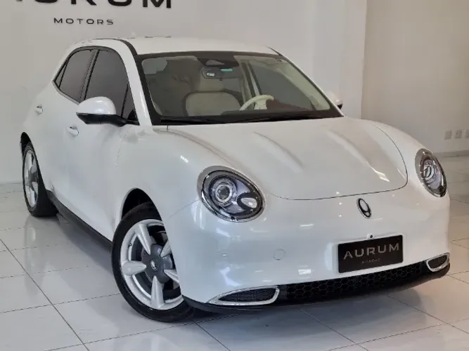 GWM Ora 03 Skin (elétrico) 2024