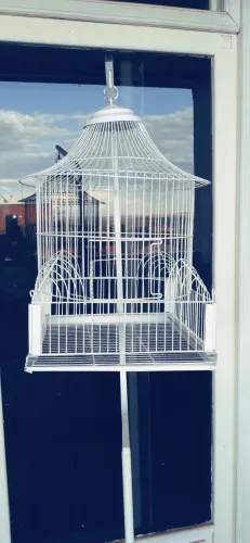 Gaiola de Cúpula Antiga com Pedestal