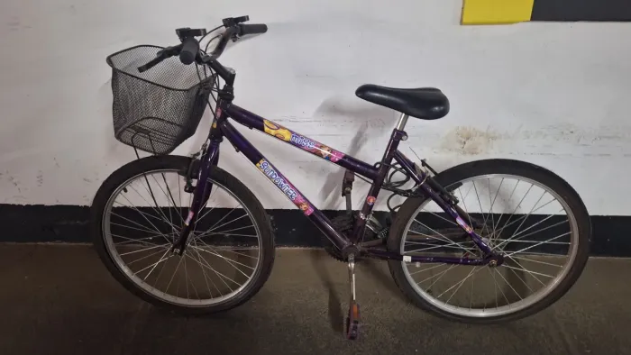 Bicicleta feminina aro 24