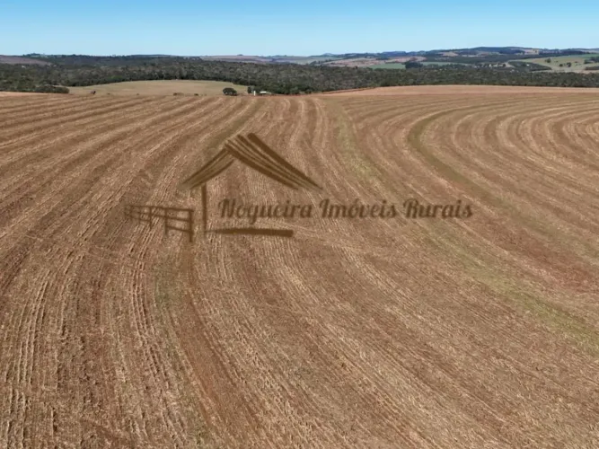 Fazenda a venda com 53 alqueires na região de Avaré-SP