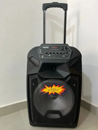 Caixa Acústica Vicini Vc-7302 300W - Seminova