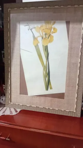 Moldura bambu, perfeita