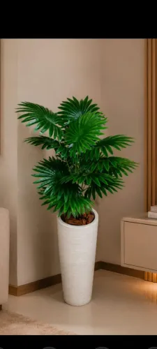 Lindo vaso grande com palmeira leque permanente
