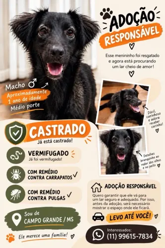 Doação